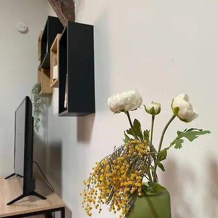 Le - Chic Et Cosy En Hypercentre Apartment *